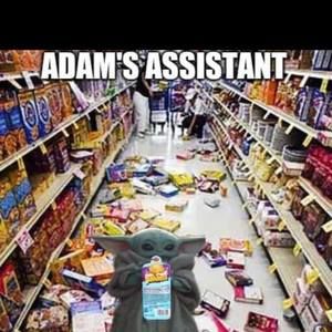 Meet your Posher, Chelsey